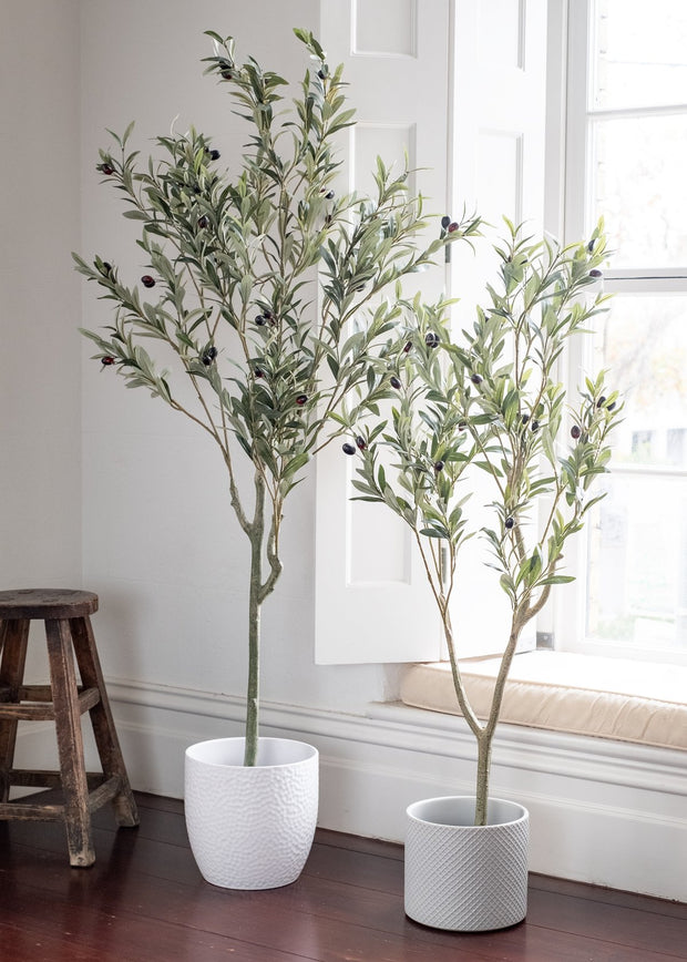 POTTED OLIVE TREE- FAUX