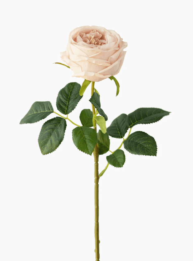 ROSE STEM REAL TOUCH