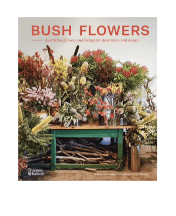BUSH FLOWERS