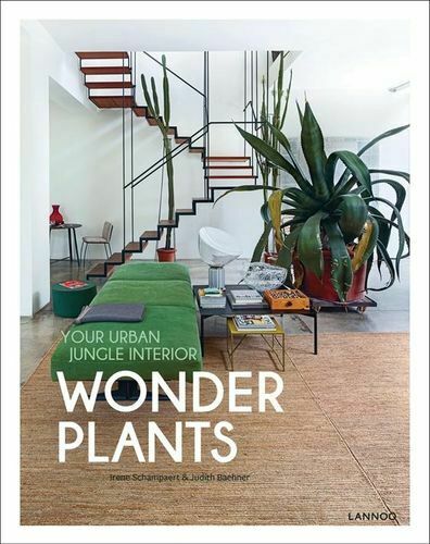 WONDER PLANTS - The Banyan Tree Furniture & Homewares