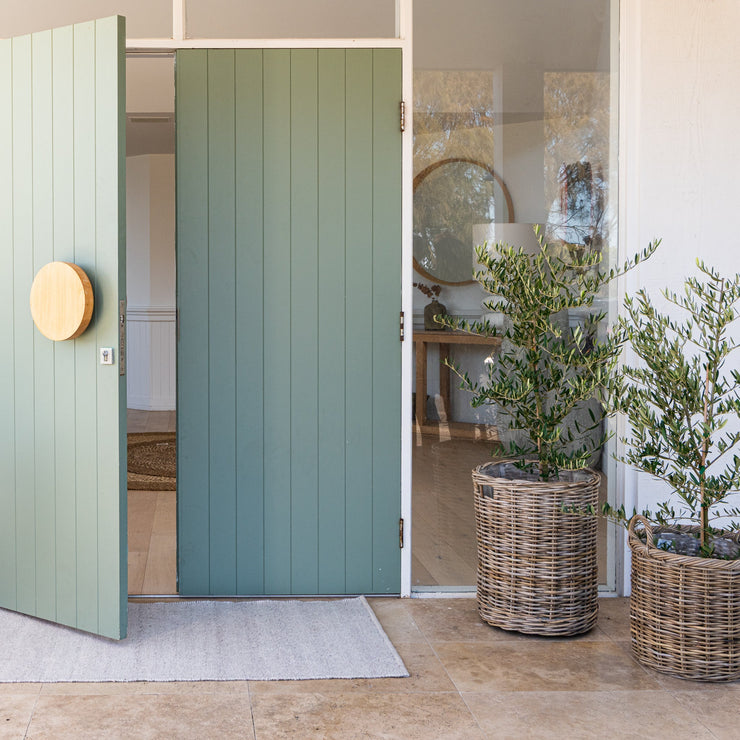 ZEBRA BATES INDOOR - OUTDOOR