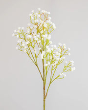 BABY'S BREATH SPRAY WHITE