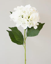 HYDRANGEA SPRAY WHITE