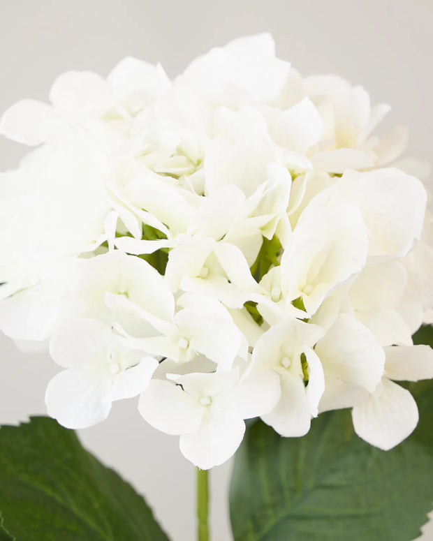 HYDRANGEA SPRAY WHITE