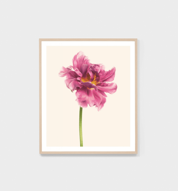 BLUME 3 - FRAMED PRINT