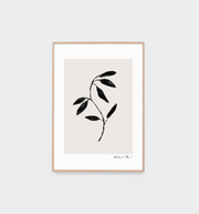 BOTANICAL MUSE 1 - FRAMED PRINT