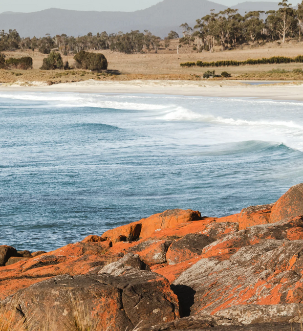 RECYCLED THROW TERRAIN BAY OF FIRES