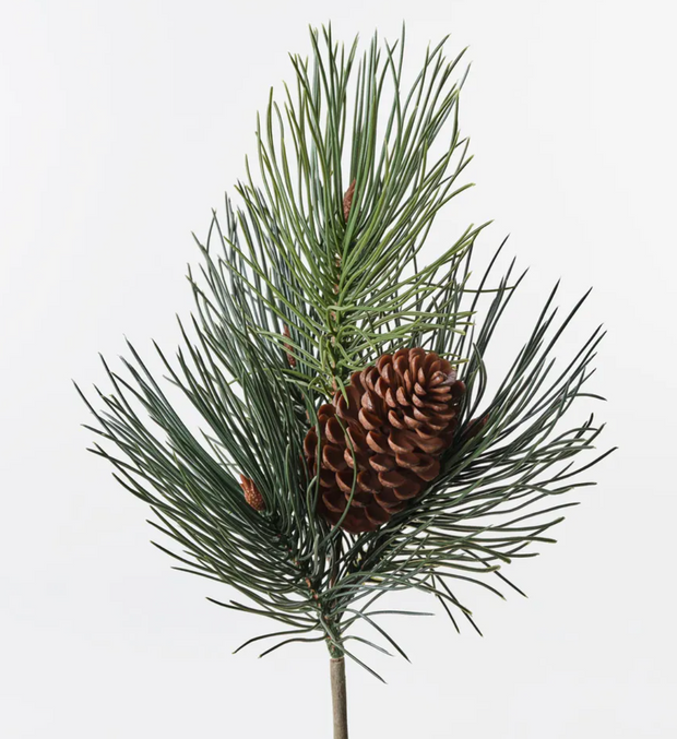 NEEDLE PINE CONE PICK