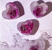 DRINK PLINKS | ICE SHAPES WITH ATTITUDE