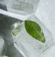 DRINK PLINKS | ICE SHAPES WITH ATTITUDE