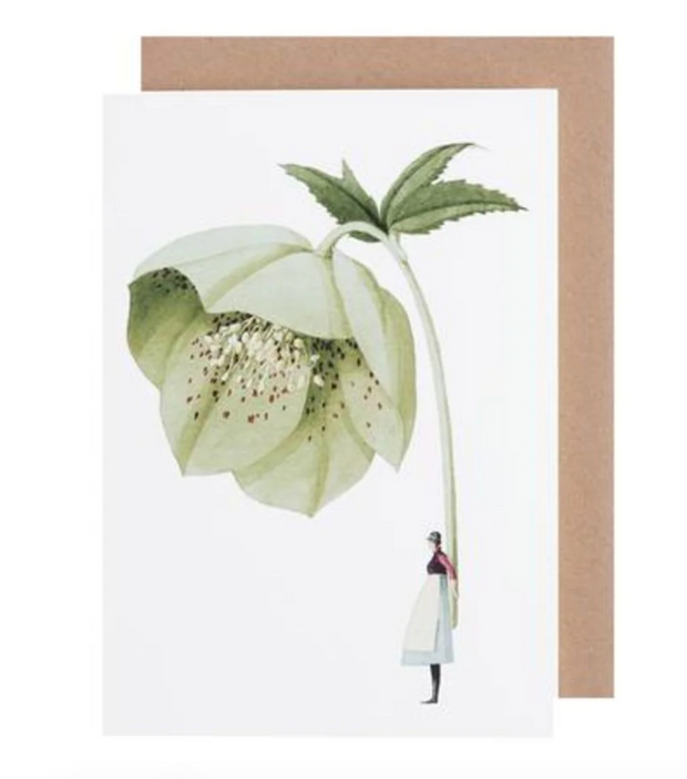 LAURA STODDART GREEN HELLEBORE GREETING CARD
