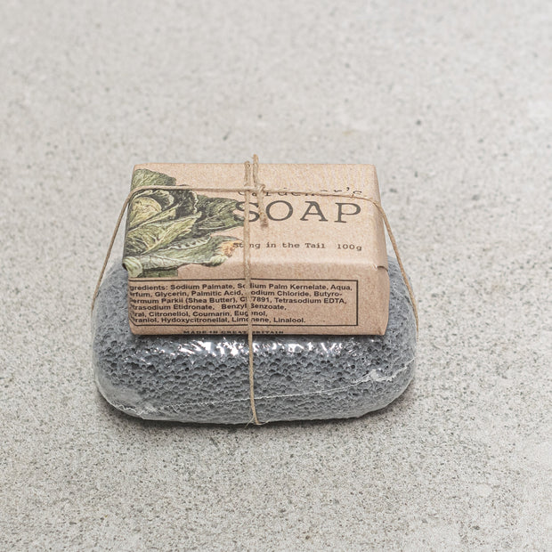 SOAP & PUMICE