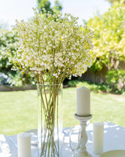 BABY'S BREATH SPRAY WHITE