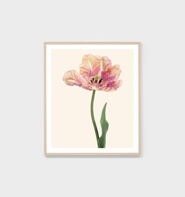 BLUME 1 - FRAMED PRINT