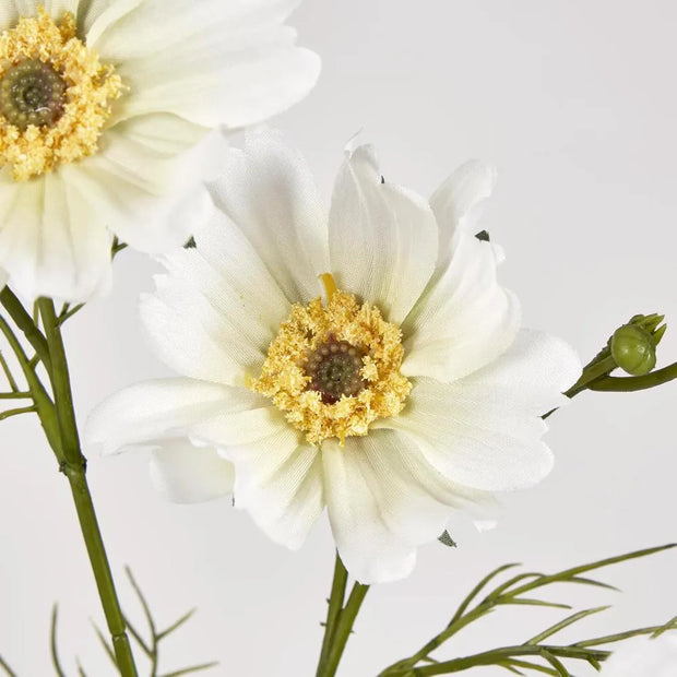 COSMOS SPRAY