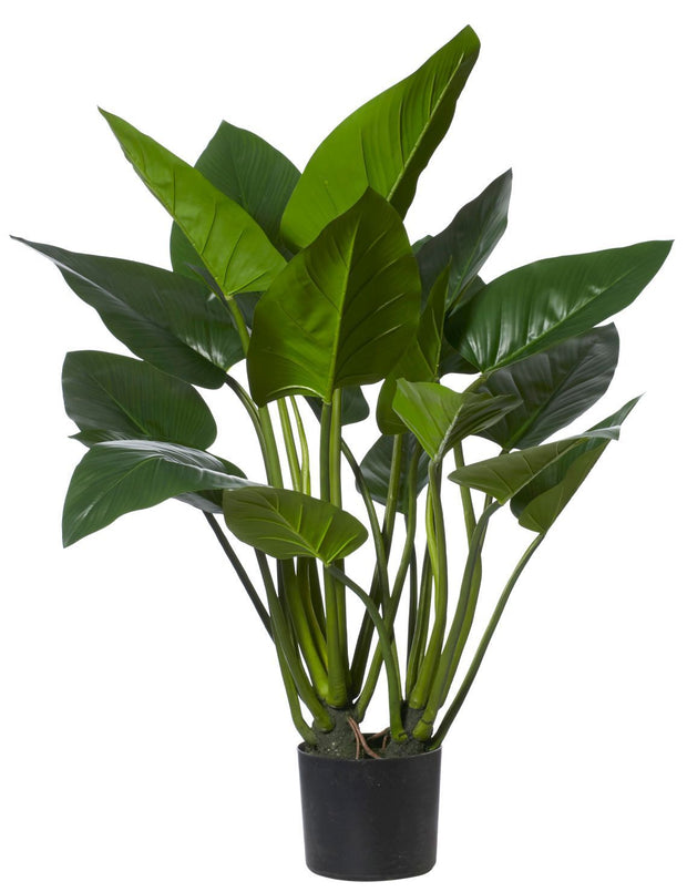 GREEN KINGDOM FAUX PLANT - The Banyan Tree Furniture & Homewares