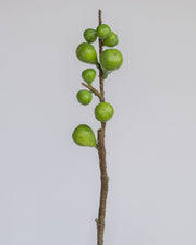 FAUX FIG BRANCH