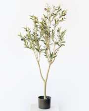 POTTED OLIVE TREE- FAUX