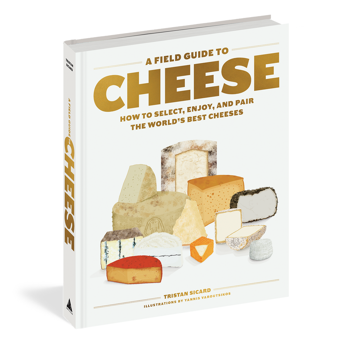 A FIELD GUIDE TO CHEESE BY TRISTAN SICARD – The Banyan Tree