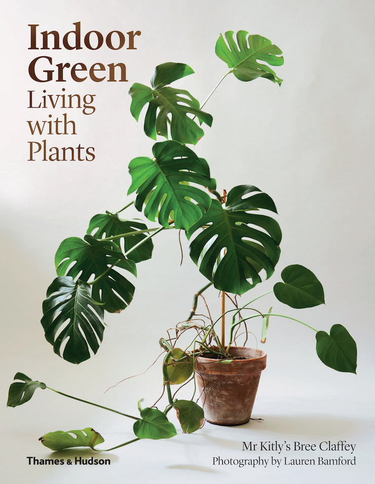 INDOOR GREEN | LIVING WITH PLANTS - The Banyan Tree Furniture & Homewares