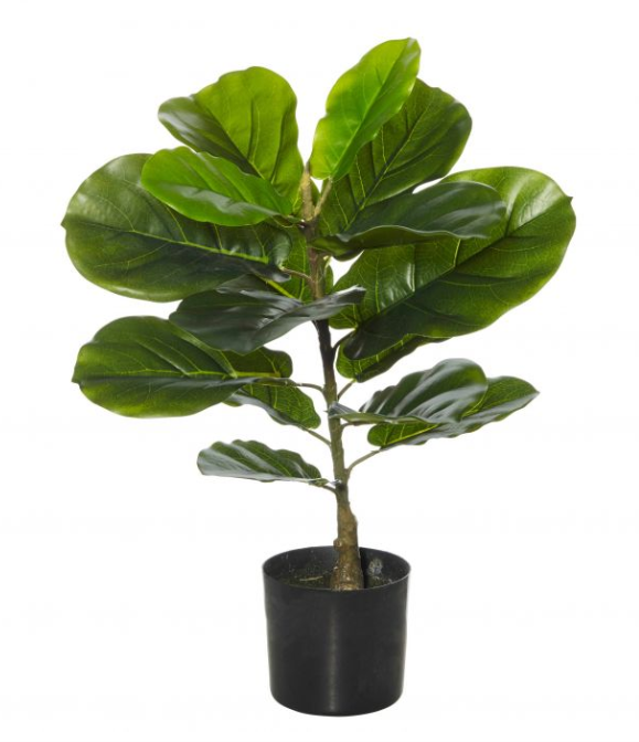 GIANT FIDDLE FAUX PLANT - The Banyan Tree Furniture & Homewares