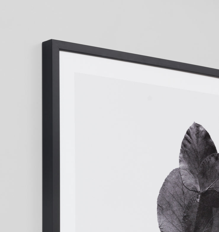 EUCALYPTUS SILHOUETTE · FRAMED PRINT - The Banyan Tree Furniture & Homewares