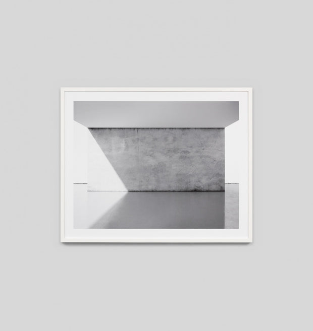 CONCRETE ARCHITECTURE · FRAMED PRINT - The Banyan Tree Furniture & Homewares