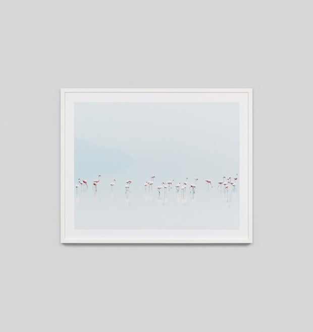 FLAMINGO REFLECTIONS · FRAMED PRINT - The Banyan Tree Furniture & Homewares