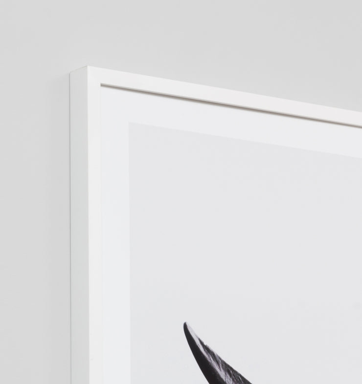 WHALE TAIL · FRAMED PRINT - The Banyan Tree Furniture & Homewares