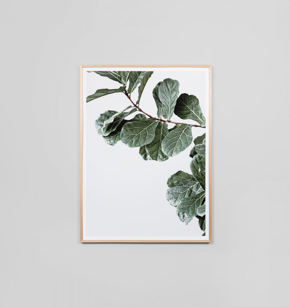fiddle leaf fig print FIDDLE LEAF PORTRAIT
