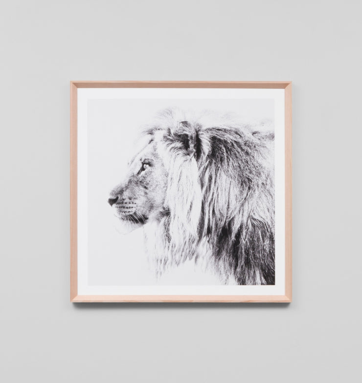 LION PORTRAIT · FRAMED PRINT - The Banyan Tree Furniture & Homewares