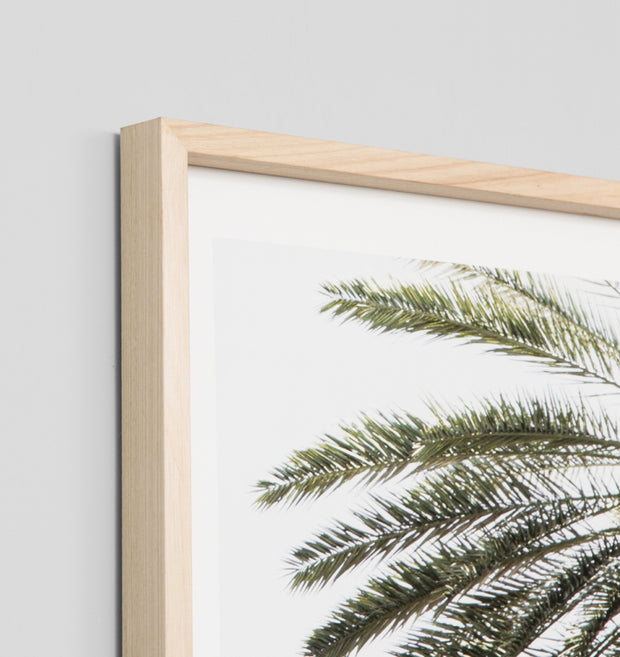 PALM WINDOW · FRAMED PRINT - The Banyan Tree Furniture & Homewares