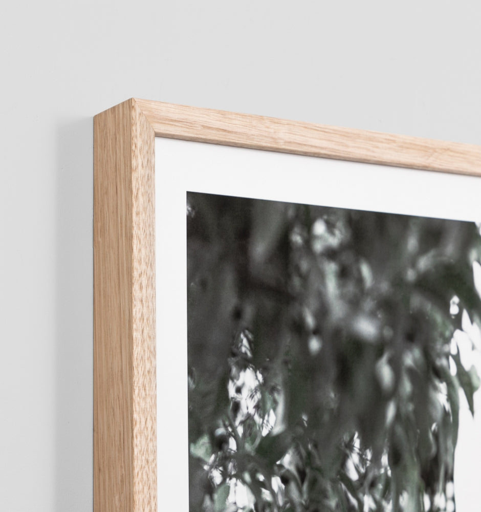 ART – Page 2 – The Banyan Tree Furniture & Homewares