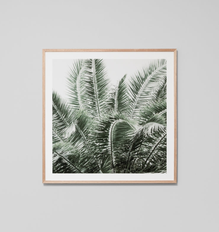 WILD PALMS · FRAMED PRINT - The Banyan Tree Furniture & Homewares